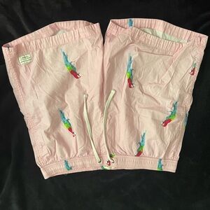 Modern Amusement Pink Shorts